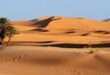 جريدة الاخبار 24
