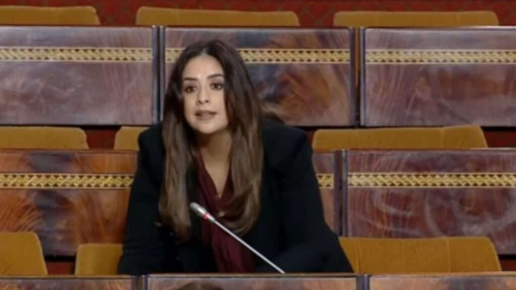 إحالة ريم شباط تجاوزات دستورية أم إجراءات قانونية؟ - 2025 جريدة الاخبار 24 % - إحالة ريم شباط تجاوزات دستورية أم إجراءات قانونية؟