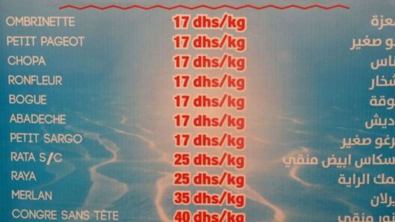 جريدة الاخبار 24 % - الدريوش تعلن انطلاق النسخة السابعة من المبادرة لضمان جودة الأسماك بأسعار تنافسية