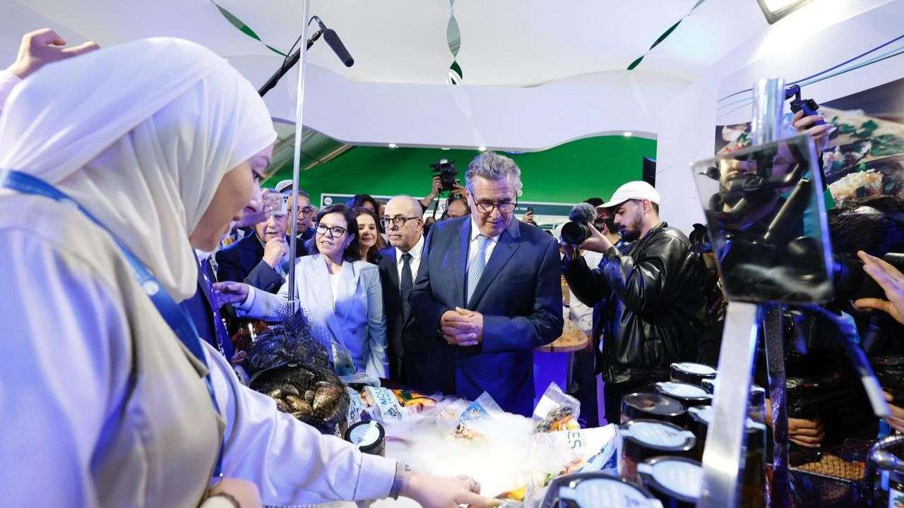 جريدة الاخبار 24 % - انطلاق الدورة السابعة لمعرض أليوتيس الدولي بأكادير