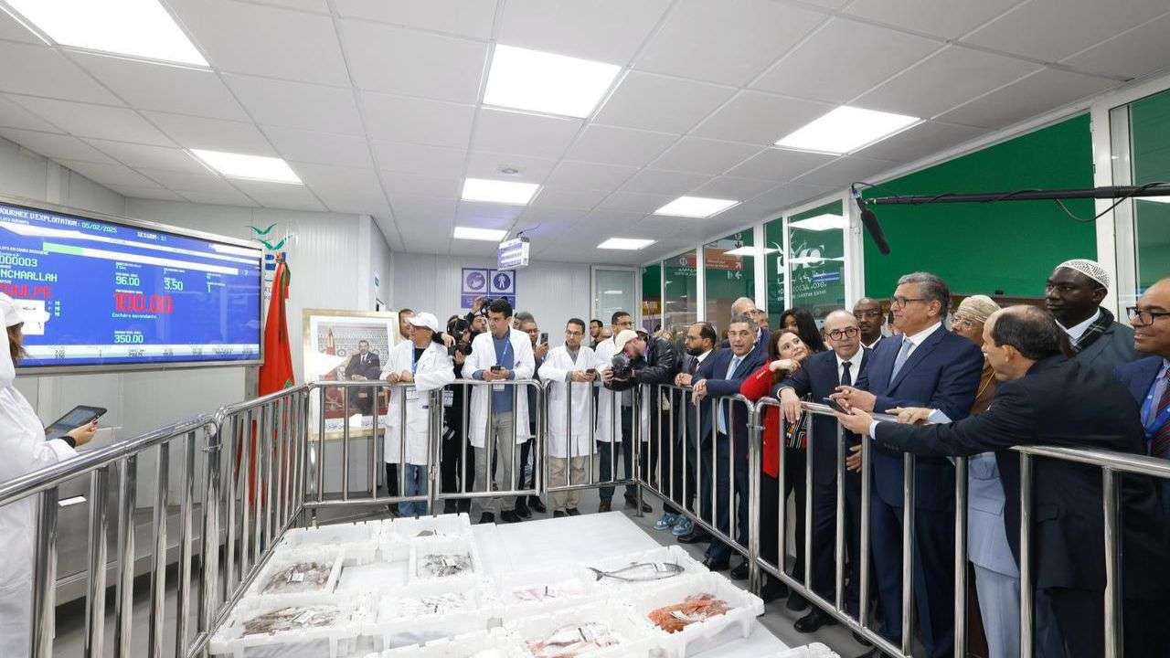 انطلاق الدورة السابعة لمعرض أليوتيس الدولي بأكادير - 2025 جريدة الاخبار 24 % - انطلاق الدورة السابعة لمعرض أليوتيس الدولي بأكادير