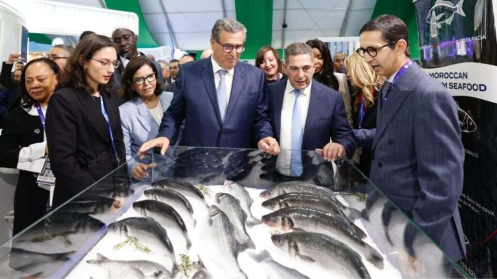 انطلاق الدورة السابعة لمعرض أليوتيس الدولي بأكادير - 2025 جريدة الاخبار 24 % - انطلاق الدورة السابعة لمعرض أليوتيس الدولي بأكادير