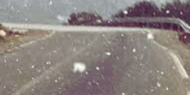 جريدة الاخبار 24