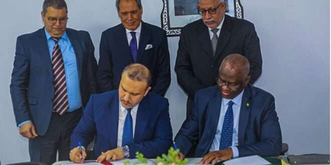 جريدة الاخبار 24