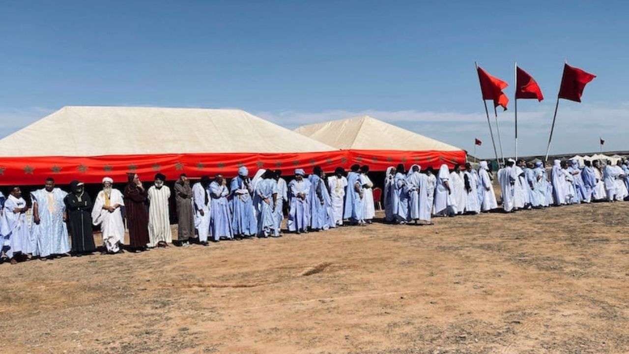 جريدة الاخبار 24 % - موسم زاوية بلاو تجسيد الهوية الوطنية وتلاحم القبائل بتفاريتي