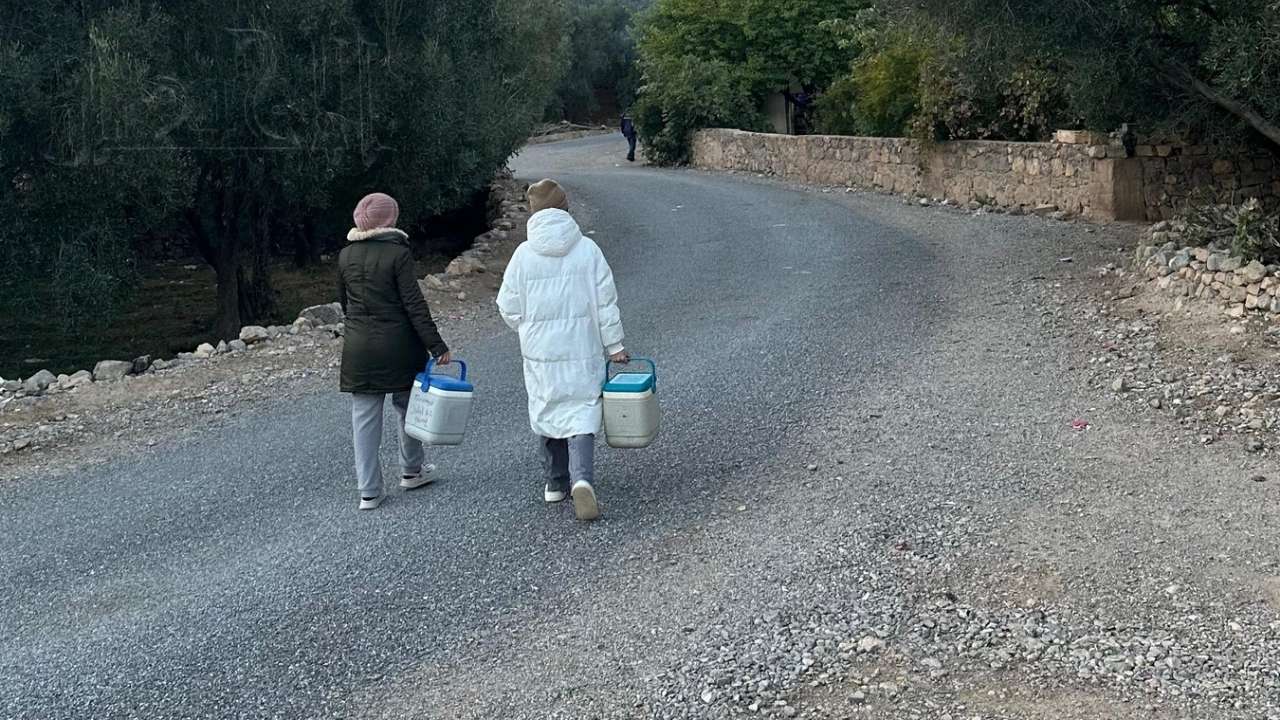 جريدة الاخبار 24 % - المرأة العاملة بالحقل الصحي درع المجتمع ورمز الأمل في زمن الحصبة