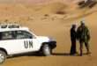 جريدة الاخبار 24