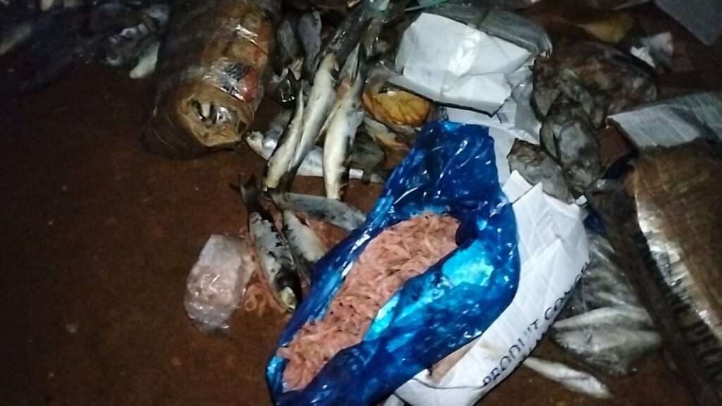 جريدة الاخبار 24 % - حجز كميات من الأسماك الفاسدة بمستودع سري غير مطابق للمعايير الصحية بالقنيطرة