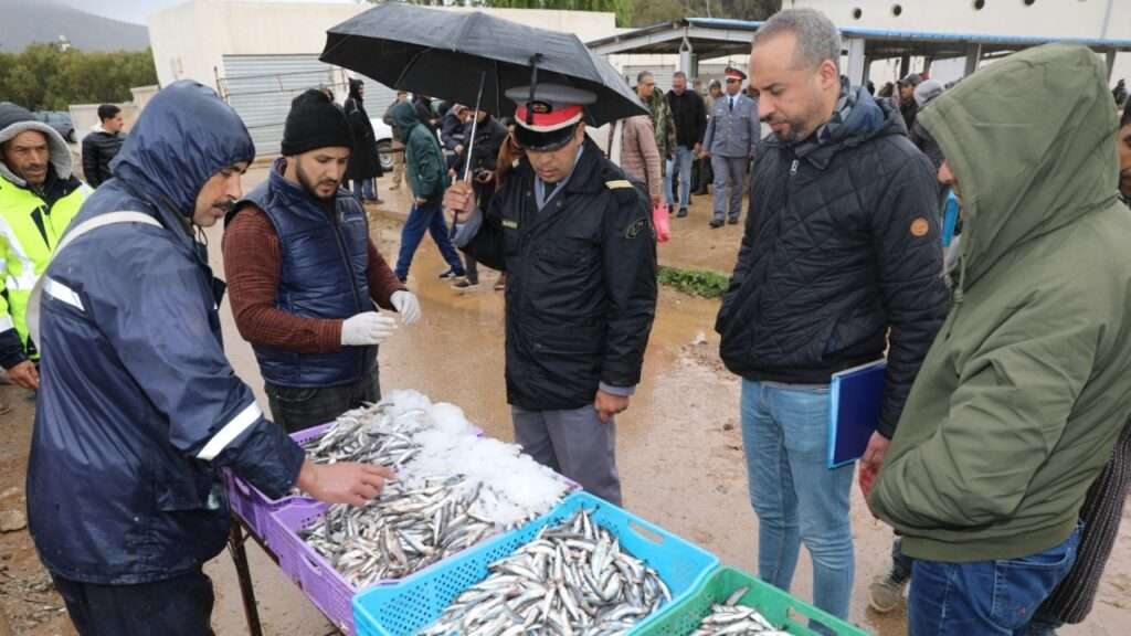 جريدة الاخبار 24 % - حصيلة أشغال اللجنة الإقليمية المختلطة للمراقبة واللجان المحلية بإقليم تازة