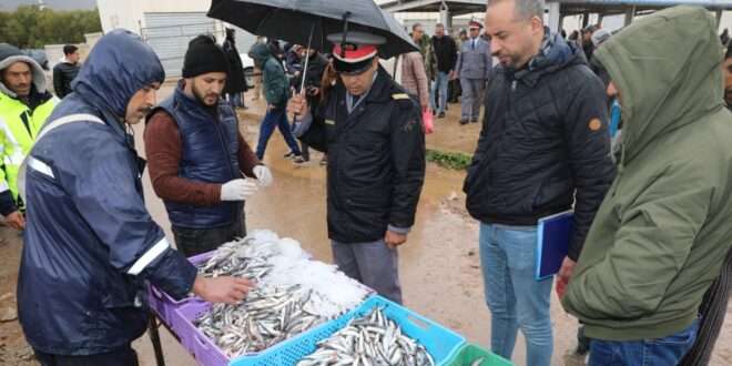 جريدة الاخبار 24