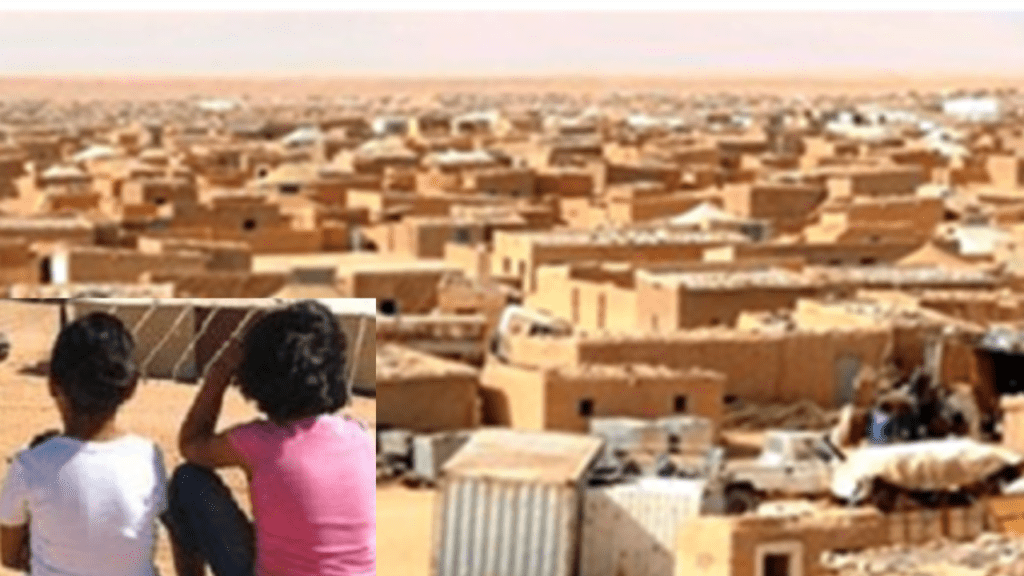 جريدة الاخبار 24 % - شهادات مؤلمة وانتهاكات حقوق الإنسان بمخيمات تندوف