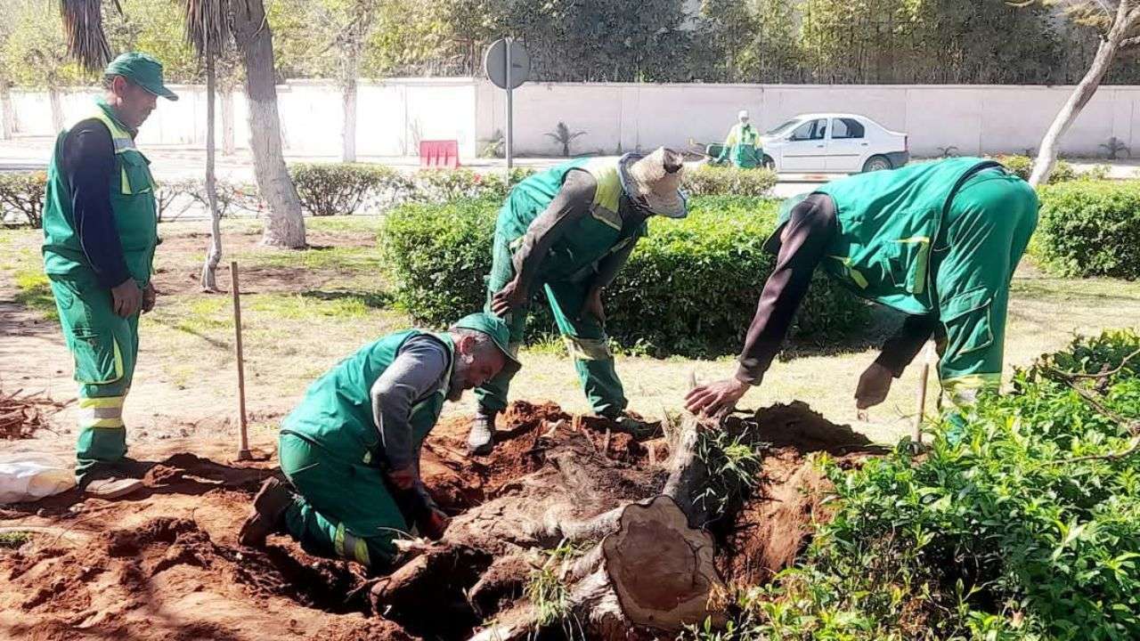 جريدة الاخبار 24 % - عيد الفطر يضيء مدينة القنيطرة بجهود مكثفة لتجميل الفضاءات العامة