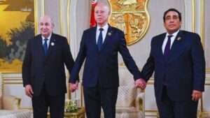 جريدة الاخبار 24 % - ما هي الأبعاد السياسية لغياب بعض زعماء العرب عن القمة الطارئة بالقاهرة؟