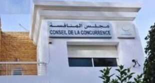 جريدة الاخبار 24