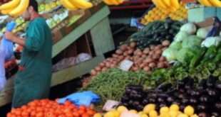 جريدة الاخبار 24