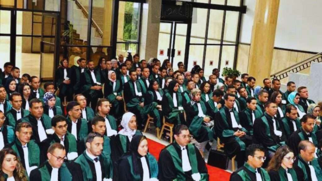 جريدة الاخبار 24 % - نادي قضاة المغرب يحتفي بالقاضيات ويكرمهن تقديرا لدورهن في العدالة المغربية