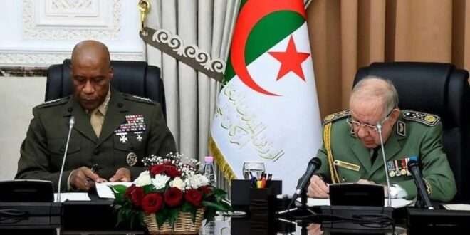 جريدة الاخبار 24