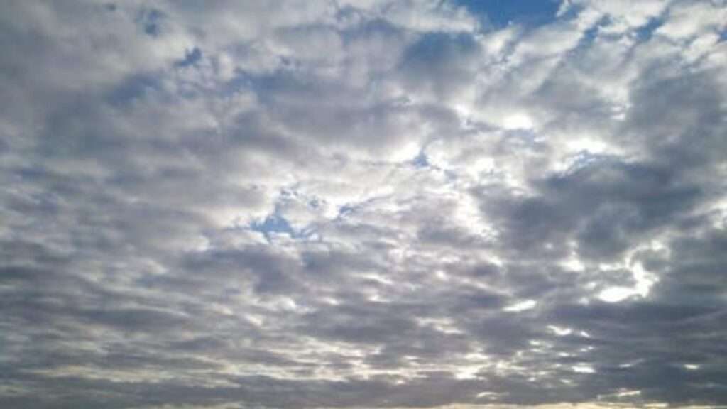 حالة طقس الجمعة ضباب صباحي وزخات رعدية مرتقبة بعدد من المناطق - 2026 جريدة الاخبار 24 % - حالة طقس الجمعة ضباب صباحي وزخات رعدية مرتقبة بعدد من المناطق