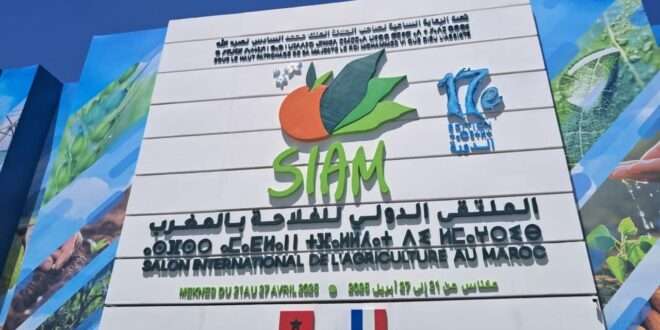جريدة الاخبار 24