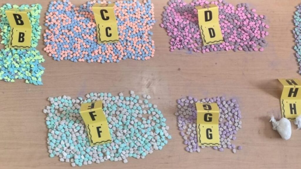 جريدة الاخبار 24 % - توقيف رجل وسيدة بحوزتهما آلاف الأقراص المهلوسة والكوكايين بالقنيطرة