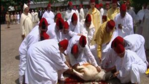 جريدة الاخبار 24 % - أمير المؤمنين يجسد وحدة الأمة ويؤم شعبه في شعائر عيد الأضحى بتطوان