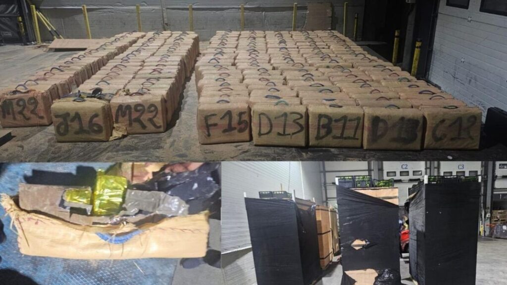 جريدة الاخبار 24 % - إحباط عملية تهريب للمخدرات بميناء طنجة المتوسط