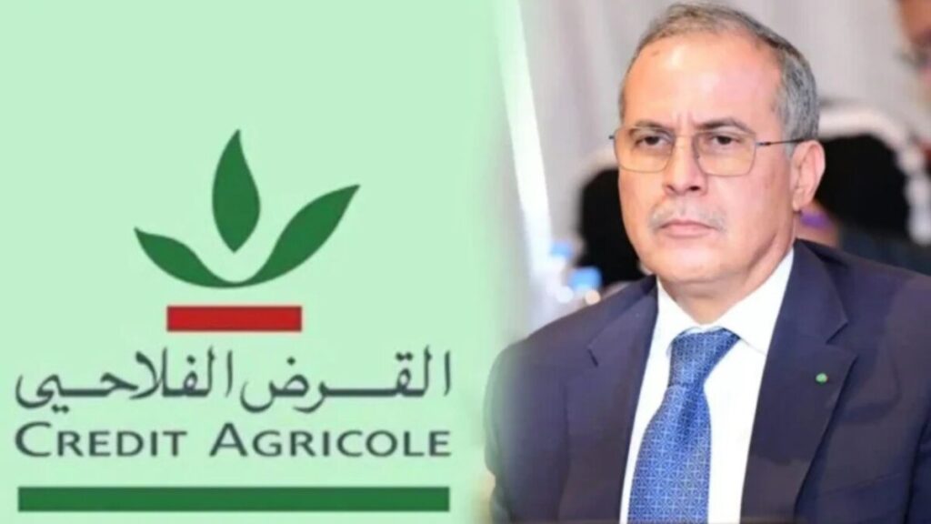 جريدة الاخبار 24 % - القرض الفلاحي معالجة الملفات المتعثرة بمنطق الأبواب المفتوحة 