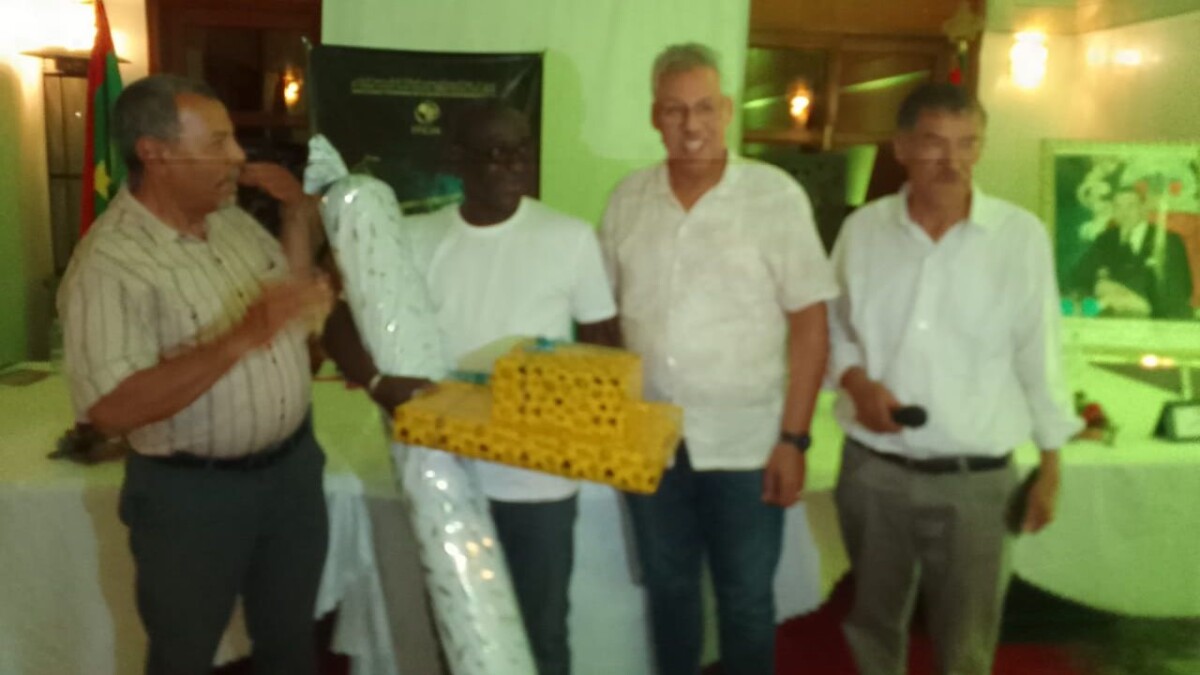 جريدة الاخبار 24 % - مهرجان السينما الإفريقية دعم مغربي ونهضة سينمائية بخريبكة