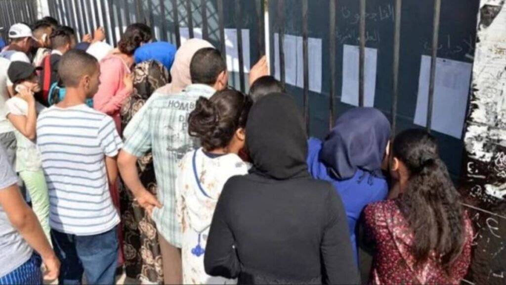 نتائج البكالوريا استقرار نسبي وتفوق أنثوي وفرصة عبر الاستدراكية - 2025 جريدة الاخبار 24 % - نتائج البكالوريا استقرار نسبي وتفوق أنثوي وفرصة عبر الاستدراكية