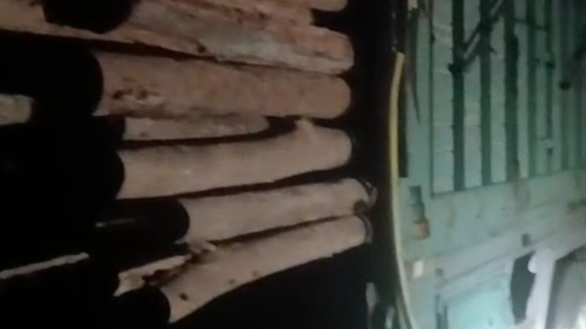 جريدة الاخبار 24 % - استنزاف للثروة الغابوية بأولاد مصباح رويسية إقليم القنيطرة