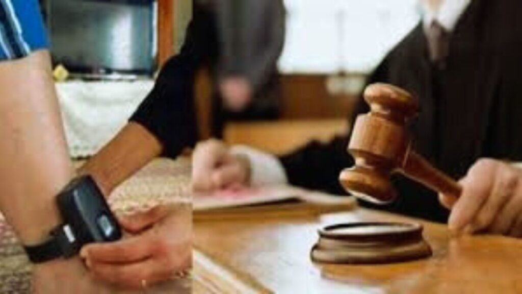 جريدة الاخبار 24 % - العقوبات البديلة على أبواب التنفيذ تعيد رسم معالم السياسة الجنائية