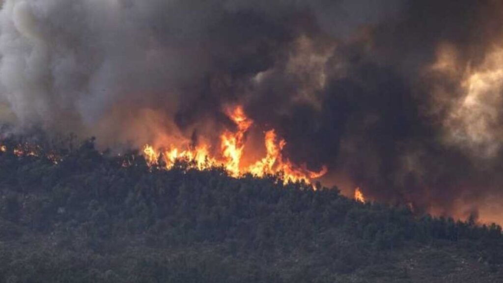 جريدة الاخبار 24 % - الوكالة الوطنية تطلق خرائط تنبؤية لرصد بؤر حرائق الغابات