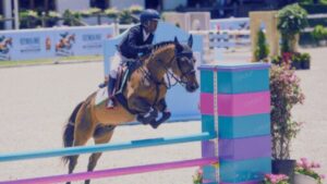 جريدة الاخبار 24 % - انطلاق الدورة الأربعين لأسبوع الفرس إشعاع رياضي وثقافي بالرباط