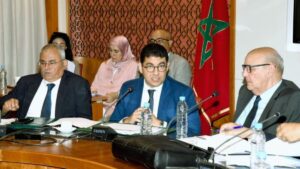 جريدة الاخبار 24 % - بنسعيد المجلس الوطني للصحافة على أبواب مرحلة جديدة