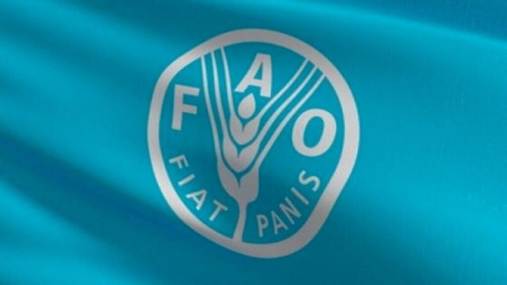 تجديد عضوية المغرب بمجلس الفاو اعترافا لمكانته الإفريقية الدولية - 2026 جريدة الاخبار 24 % - تجديد عضوية المغرب بمجلس الفاو اعترافا لمكانته الإفريقية الدولية