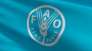 جريدة الاخبار 24 % - تجديد عضوية المغرب بمجلس الفاو اعترافا لمكانته الإفريقية الدولية