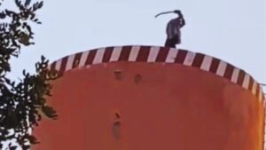 جريدة الاخبار 24 % - تفاصيل تكشف الوفاة بعد الاعتصام فوق خزان مياه ببني ملال