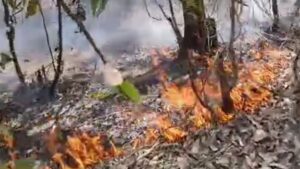 جريدة الاخبار 24 % - تنسيق محلي وإقليمي لإخماد حريق غابة الشوافع بإقليم القنيطرة