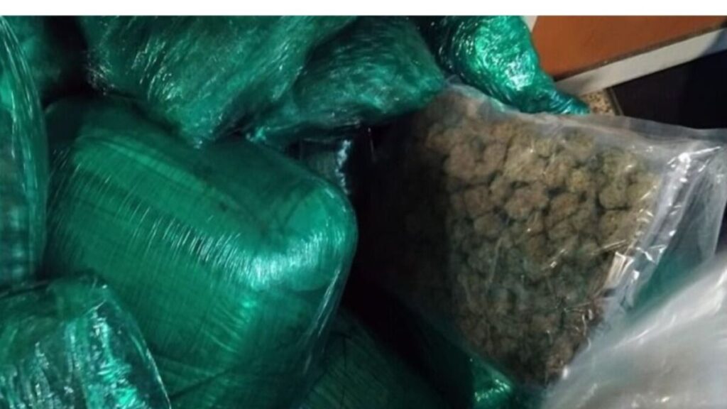 جريدة الاخبار 24 % - محاولة تهريب مخدر الماريجوانا من تورونتو تنتهي بمطار محمد الخامس بالبيضاء