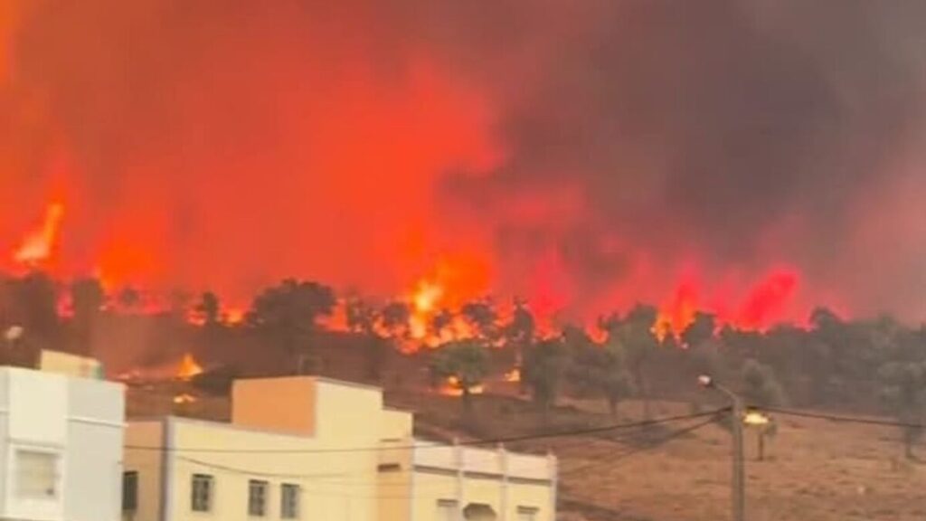 جريدة الاخبار 24 % - استنفار بري وجوي لإخماد حرائق غابة كرانخا شفشاون