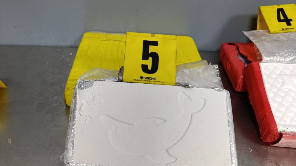 الأمن يحبط عملية تهريب دولية للكوكايين بميناء طنجة المتوسط - 2026 جريدة الاخبار 24 % - الأمن يحبط عملية تهريب دولية للكوكايين بميناء طنجة المتوسط