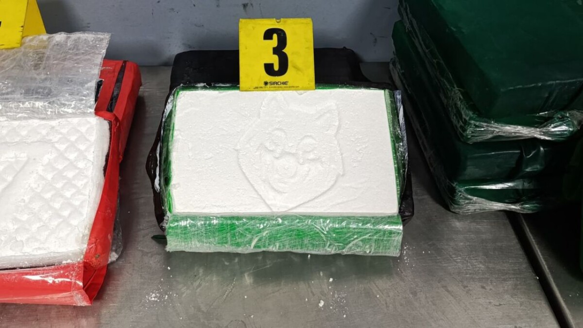 جريدة الاخبار 24 % - الأمن يحبط عملية تهريب دولية للكوكايين بميناء طنجة المتوسط