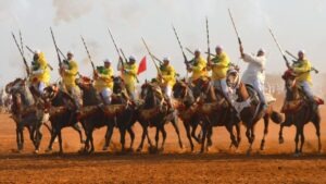 جريدة الاخبار 24 % - انطلاق أول نسخة لمهرجان للتبوريدة بين صهيل الخيل ودوي البارود بالقنيطرة