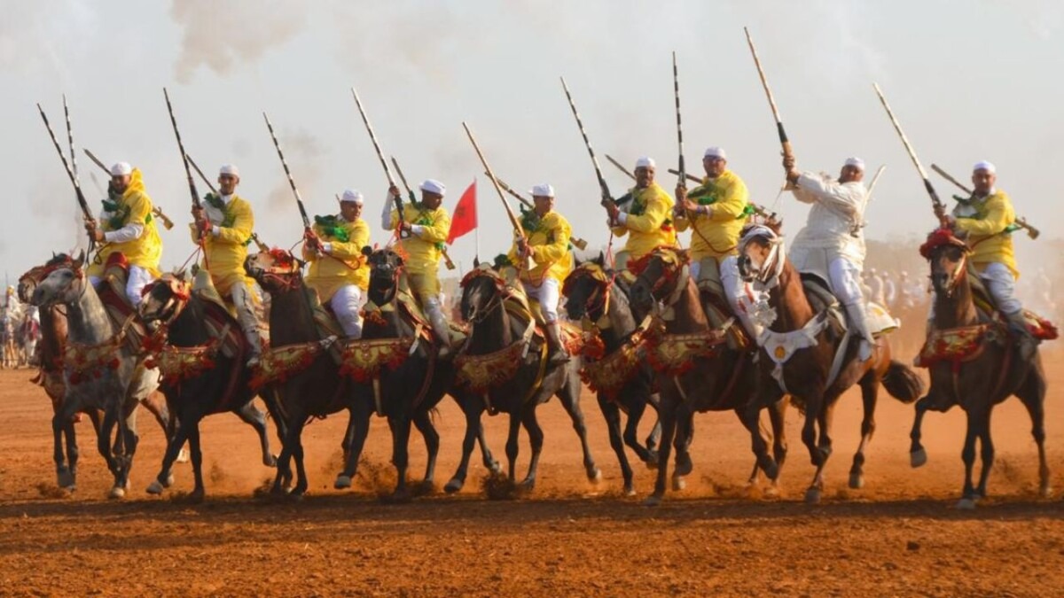 جريدة الاخبار 24 % - انطلاق أول نسخة لمهرجان للتبوريدة بين صهيل الخيل ودوي البارود بالقنيطرة