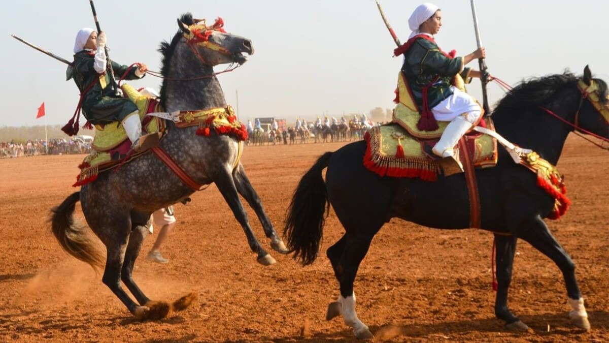 انطلاق أول نسخة لمهرجان للتبوريدة بين صهيل الخيل ودوي البارود بالقنيطرة - 2026 جريدة الاخبار 24 % - انطلاق أول نسخة لمهرجان للتبوريدة بين صهيل الخيل ودوي البارود بالقنيطرة