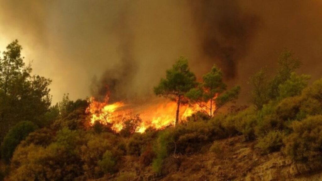 جريدة الاخبار 24 % - خرائط علمية تنبؤية تكشف بؤر الحرائق والرفع من حالة التأهب