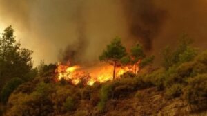 جريدة الاخبار 24 % - خرائط علمية تنبؤية تكشف بؤر الحرائق والرفع من حالة التأهب