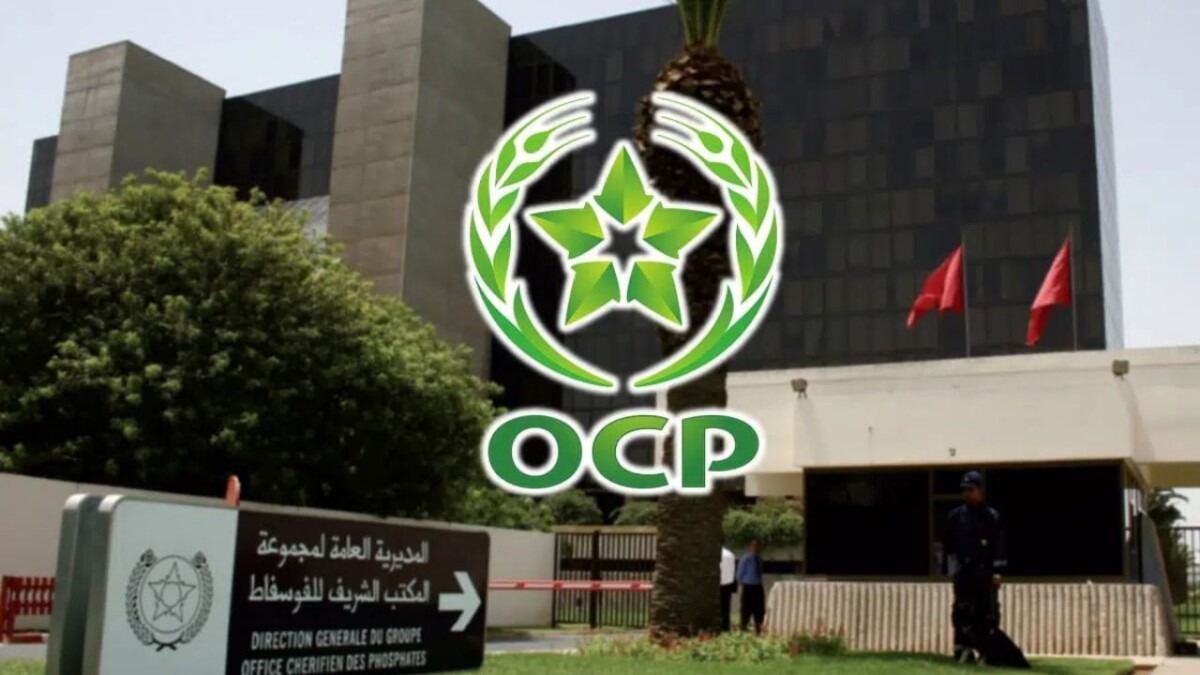 جريدة الاخبار 24 % - وضعية العمل لعمال المناولة والوساطة بالمجمع الشريف للفوسفاط