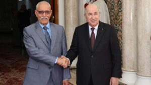 جريدة الاخبار 24 % - الجزائر توجه البوليساريو لتهديد الاستقرار بشمال إفريقيا والساحل