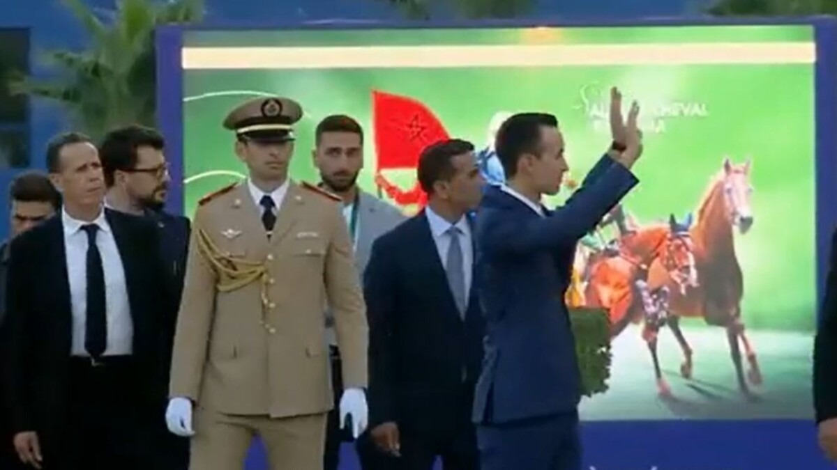 ولي العهد الأمير مولاي الحسن يفتتح معرض الفرس بالجديدة - 2025 جريدة الاخبار 24 % - ولي العهد الأمير مولاي الحسن يفتتح معرض الفرس بالجديدة